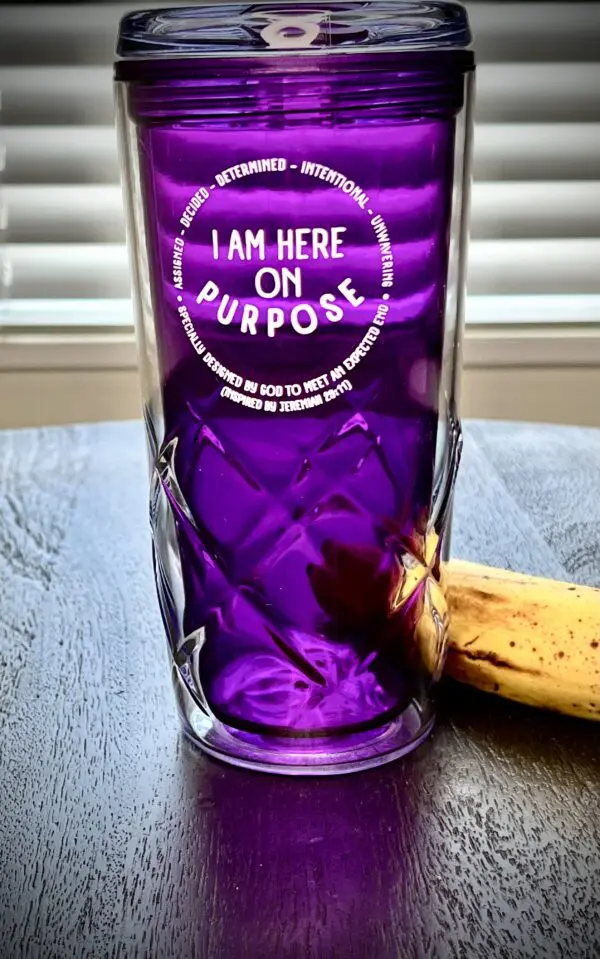 (PRE-ORDER) I AM HERE ON PURPOSE, THERMAL MUG
